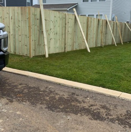 New wood privacy fence along a backyard lawn